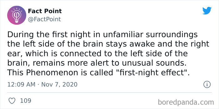 29. Explains Why Sleeping on the First Night of Camping Is the Hardest.