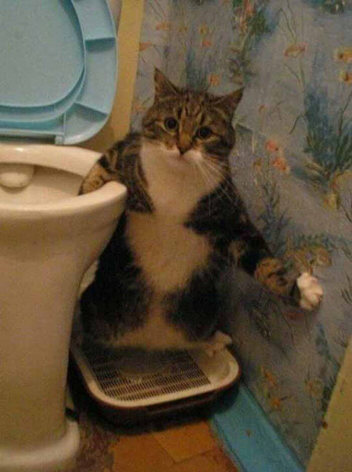 4. Don't look while I'm doing this!