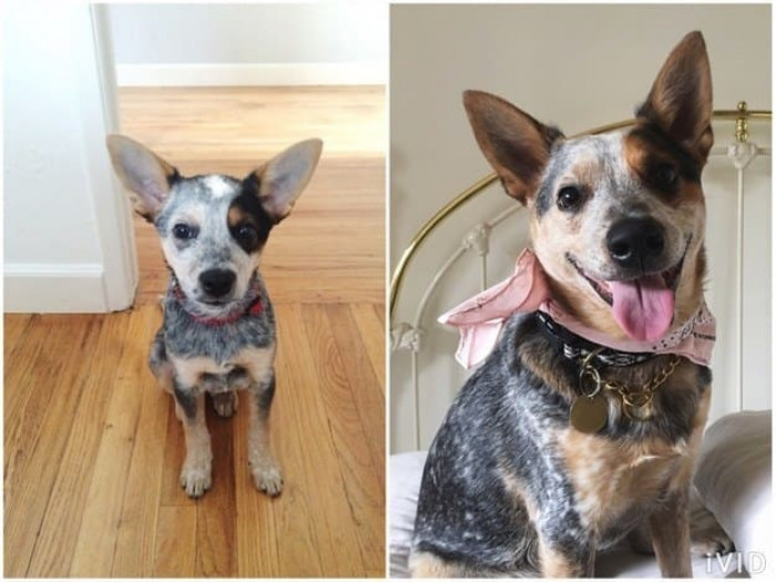 Grew into those ears a little :)