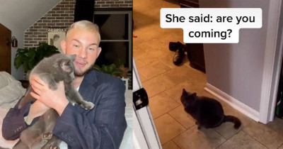 Cat Stars In This Viral Video Really Sounding Like A Human