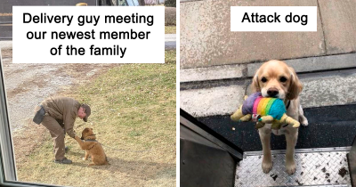 Public Service Announcement: UPS Drivers Have A Facebook Group About The Dogs On Their Routes, And It's Amazing
