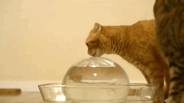 The betrayal cuts deep.