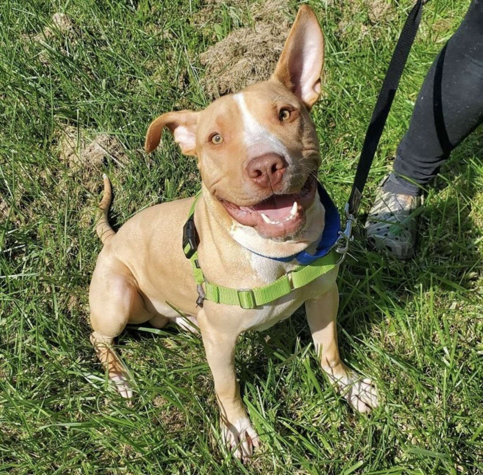 A Brand New Beaker, and He's Happier Than Ever!
