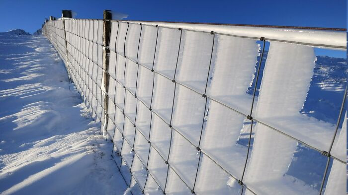 6. The work of snow and wind on the fence