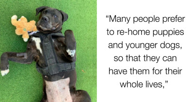 Shelter Dog Returned To Her Original Shelter After 8 Years