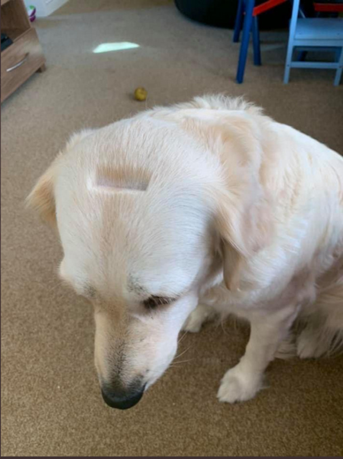 It gets better.