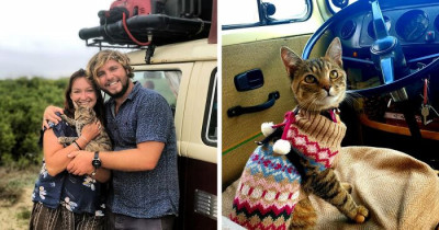 Rescued Cat Has Couple Stranded In Mexico For Refusing To Leave Without Her