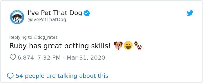 People on Twitter instantly fell in love with Ruby: