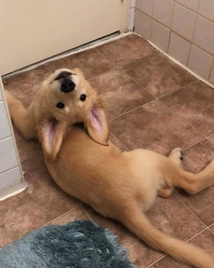 4. "Did Someone Say Treat?"