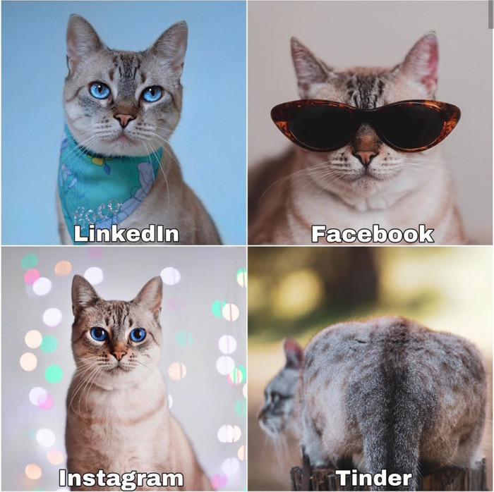 Coco the Leopard, "could this be any more accurate?"
