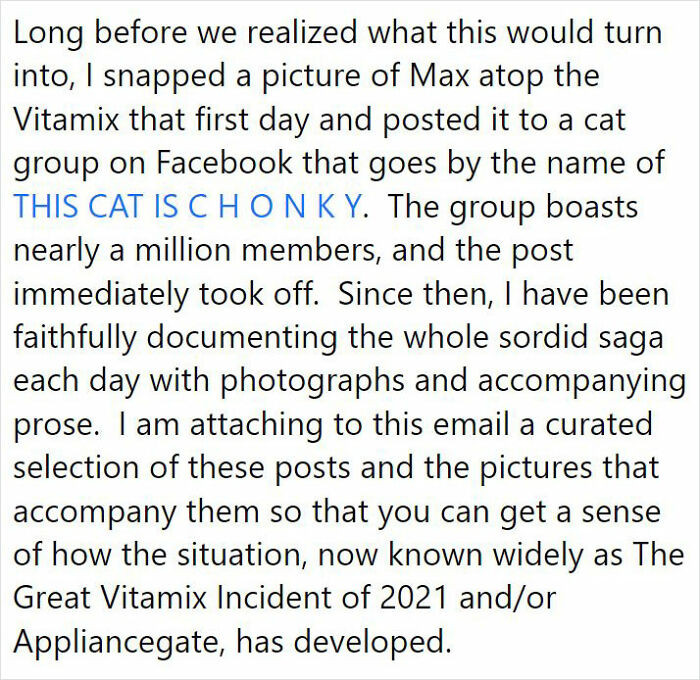 The great Vitamix incident