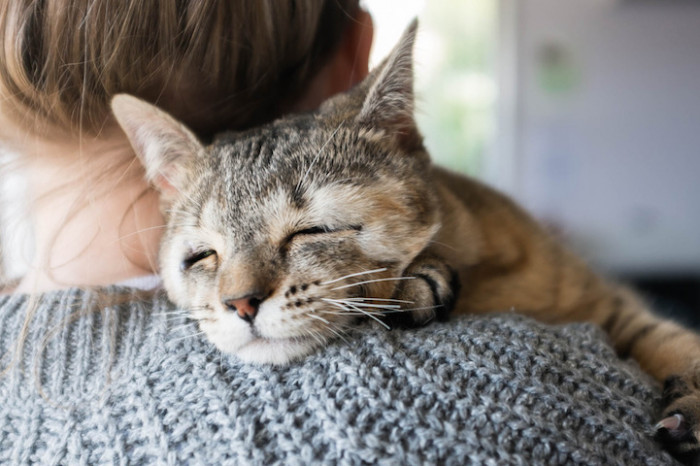 They were found at five weeks old, but by fifteen months, they had already been given nicknames by their parents in Sydney, Australia.