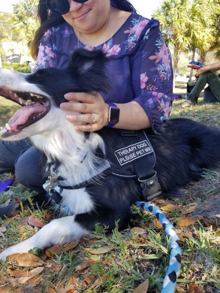 Volunteer handler holding leash as therapy dog supports grieving students emotionally