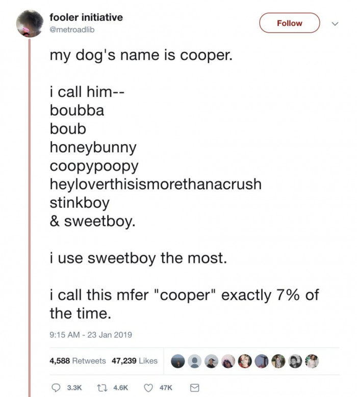 A dog named Cooper.
