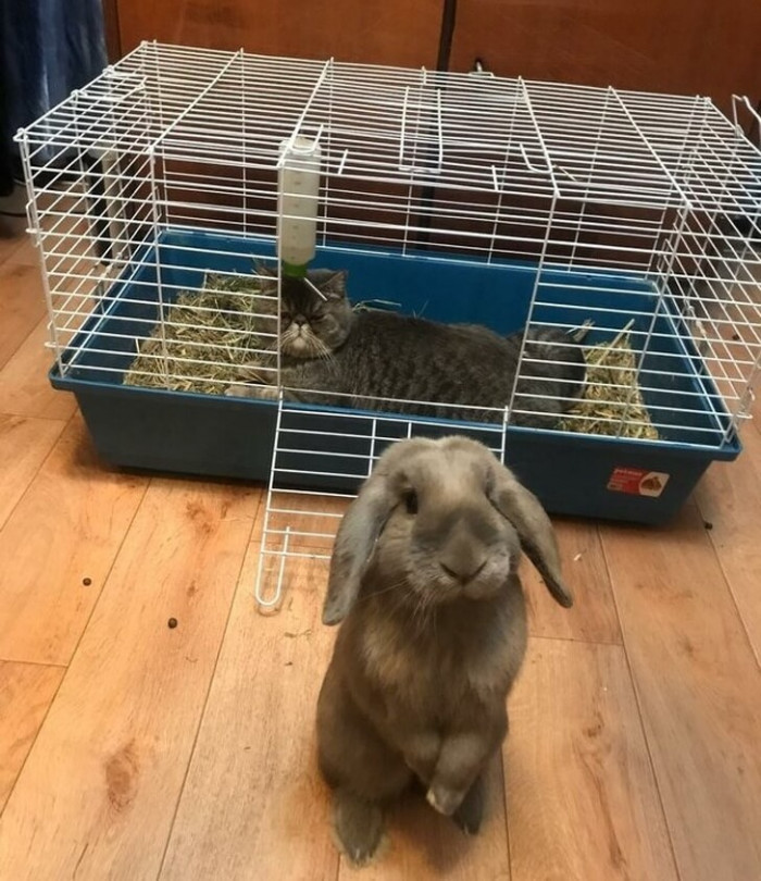 6. "Please, Karen, don't just stand there; you must do something."