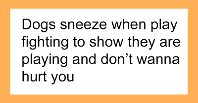 42 Charming Animal Facts That Will Brighten Your Day
