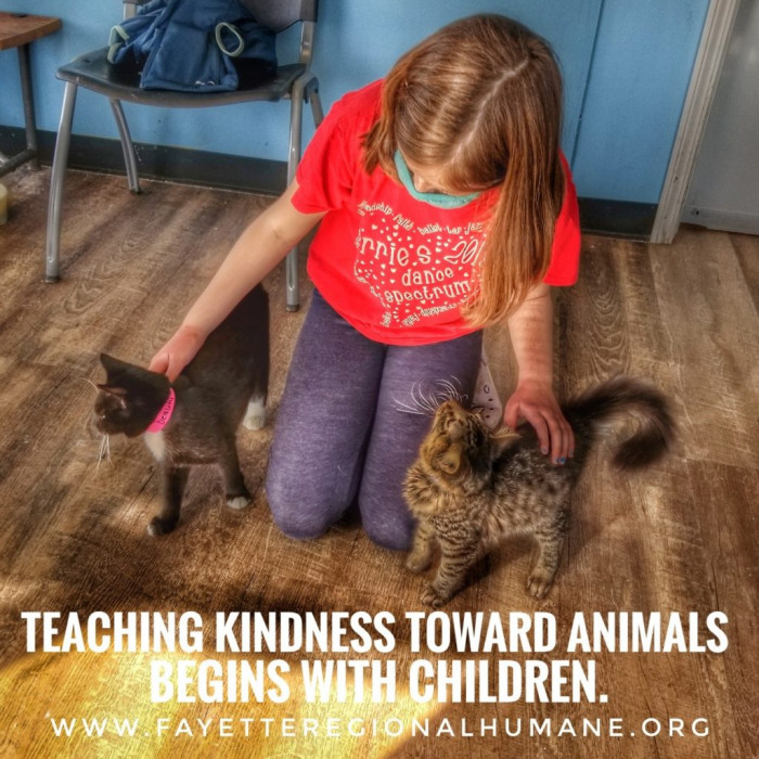 Fayette Regional Humane Society, the animal protection organization that cared for Bravo.