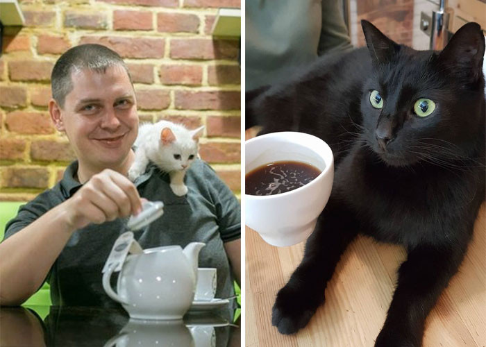 This is Serhii Oliinyk, the owner. He owns the café where 20 felines reside.