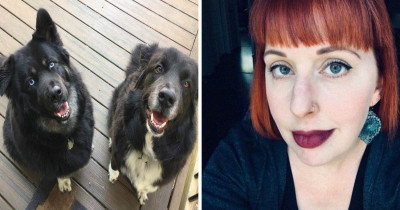 This Woman Shared Her Awesome Dog Story On Twitter And It Will Make You Laugh Until You Cry