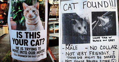 Missing Cat Posters That Are A Bit Stranger Than Most