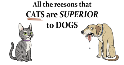 Funny Comics Explain Why Cats Are Better Than Dogs