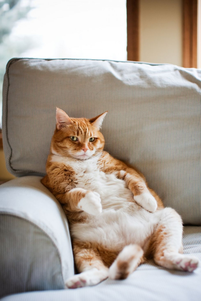 “Oh, were you sitting here?”