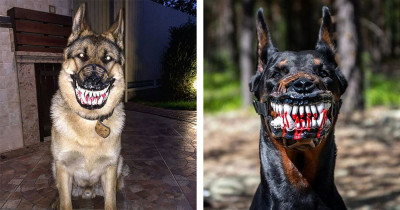 People Are Sharing Pictures Of Their Dogs Wearing This Terrifying Dog Muzzle From Amazon