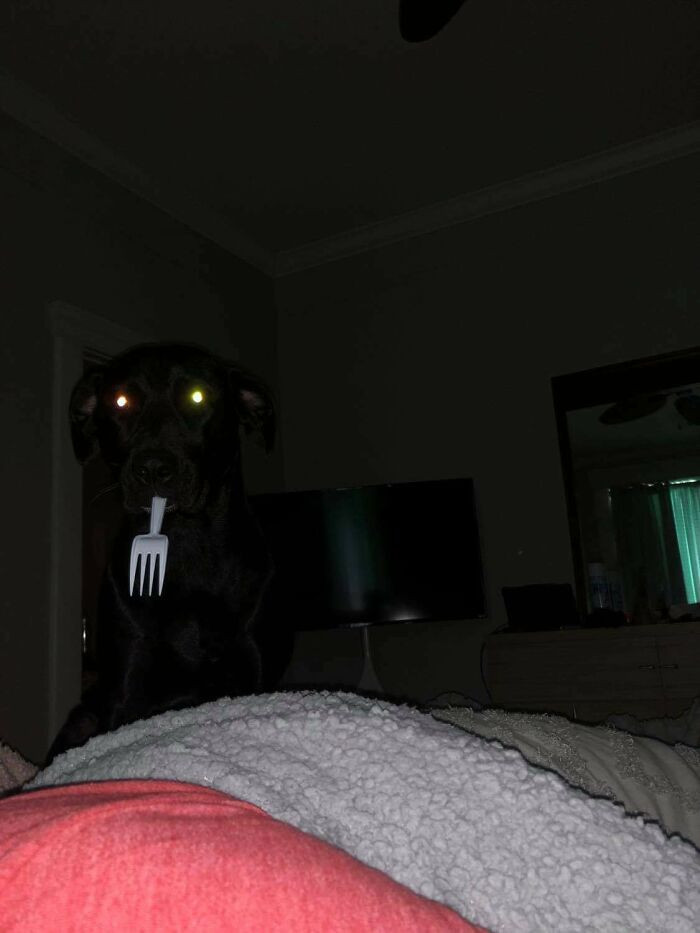 25. Fork stealer.