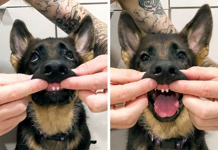 1. First teeth and adorable smile