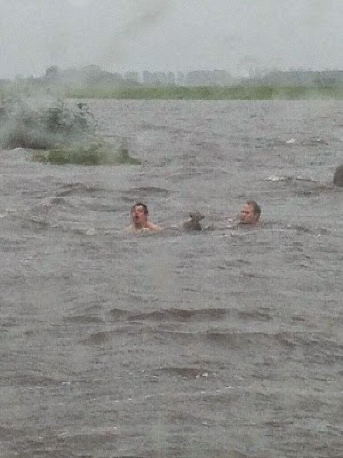 Colin Graham and Jordan Olson risked their lives to rescue some stranded foxes from floodwaters in Canada.