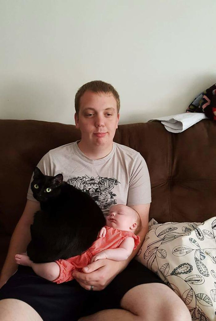 16. If you had to guess, who was here first? The cat? Or the baby?