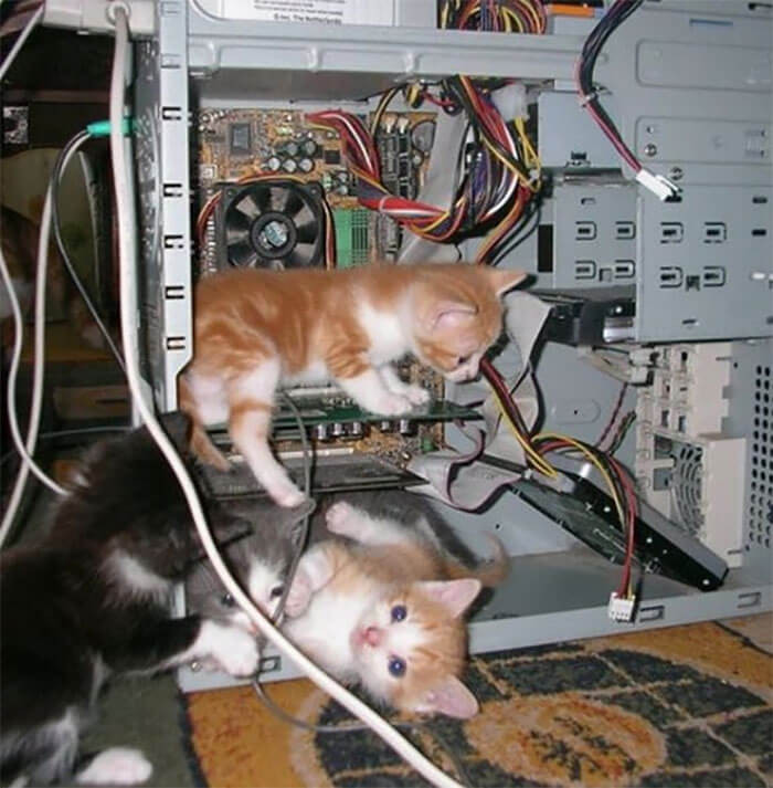 8. The new IT department will solve the problem in a split second.