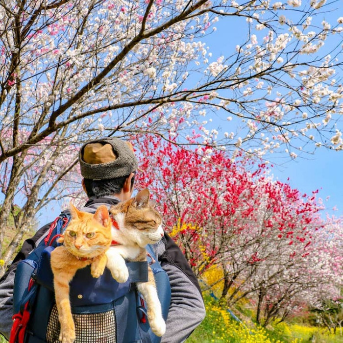 Not only has he shared their adventures on Instagram, but he's published multiple photo books!