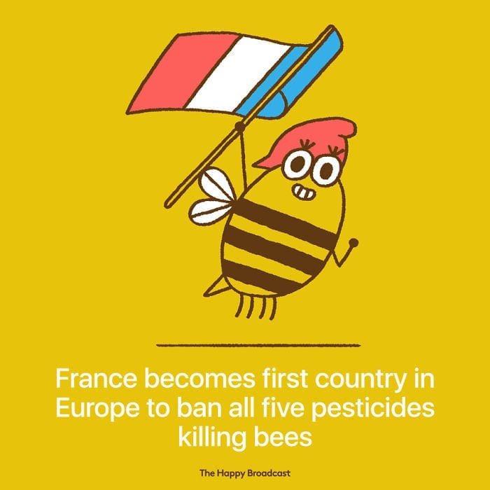 3. We need bees more than ever