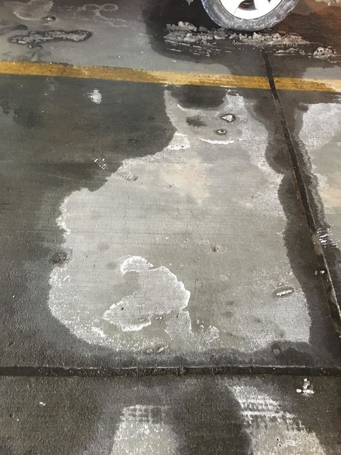 "This Parking Spot Has a Salty Cat on It"