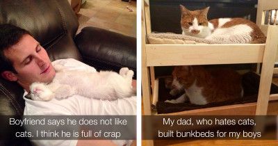 People Who Initially Didn't Want Cats But Eventually Ended Up Falling In Love With Them