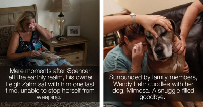 Heart-Wrenching Photography Series Shares The Powerful Emotions Experienced When Pets Are Put To Rest