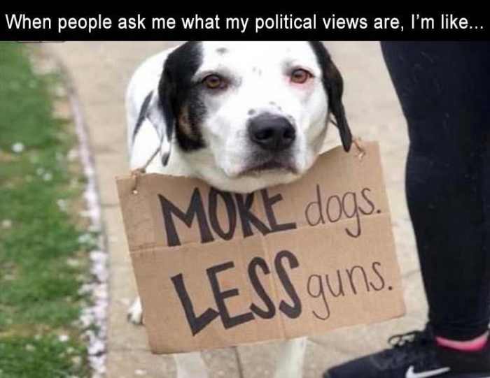 The perfect mix of politics and puppers