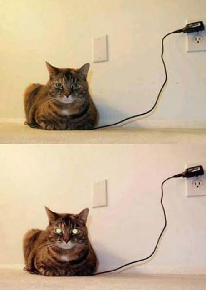 8. Charging, charging... charged!