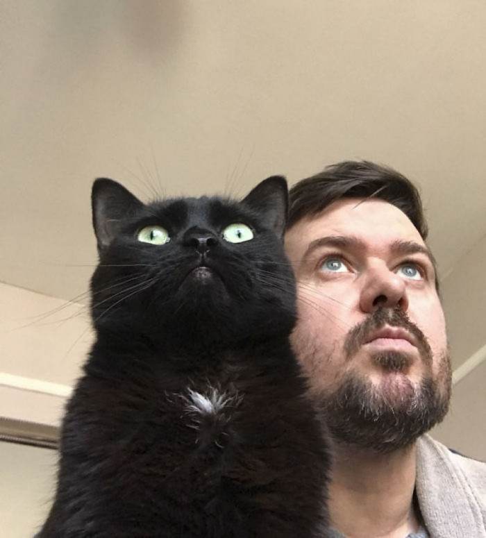 What are we looking at, human?