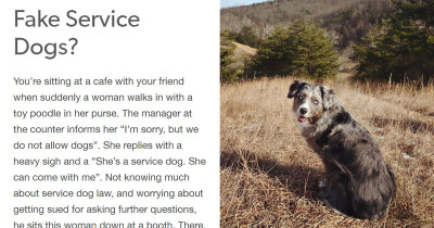 People Are Pretending To Have Service Dogs And This Lady's Rant Proves She's Had Enough