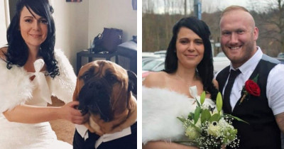 Couple Brings Forward Wedding Date So Their Dog With Cancer Can Attend