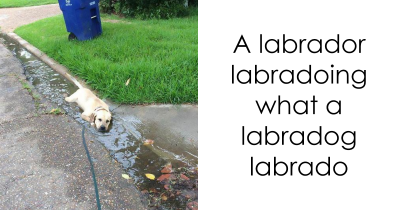 The Funniest And Sweetest Dogs Of Snapchat Ever