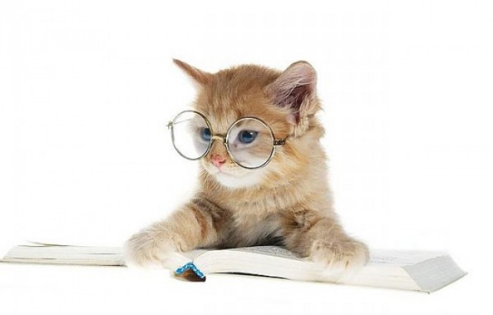 9. Start 'em young so they're used to the spectacles.