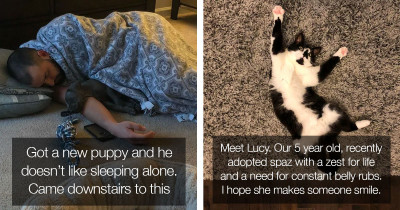 40 Incredibly Wholesome Pet Rescue Photos To Warm Your Heart