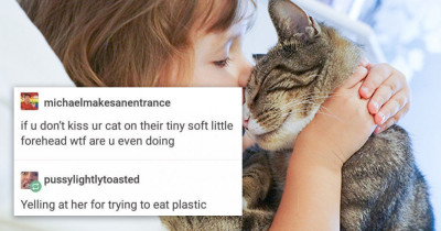 Ten Times Tumblr Proved Cats Were The Best Thing On The Internet