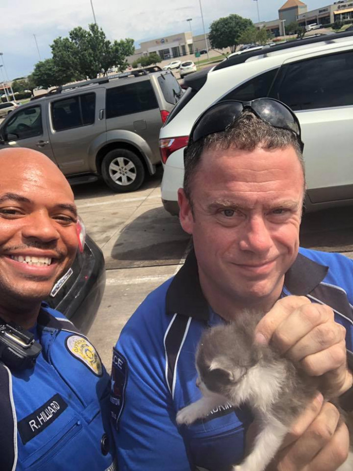 Close-up of two kittens resting on a uniformed officer’s chest.