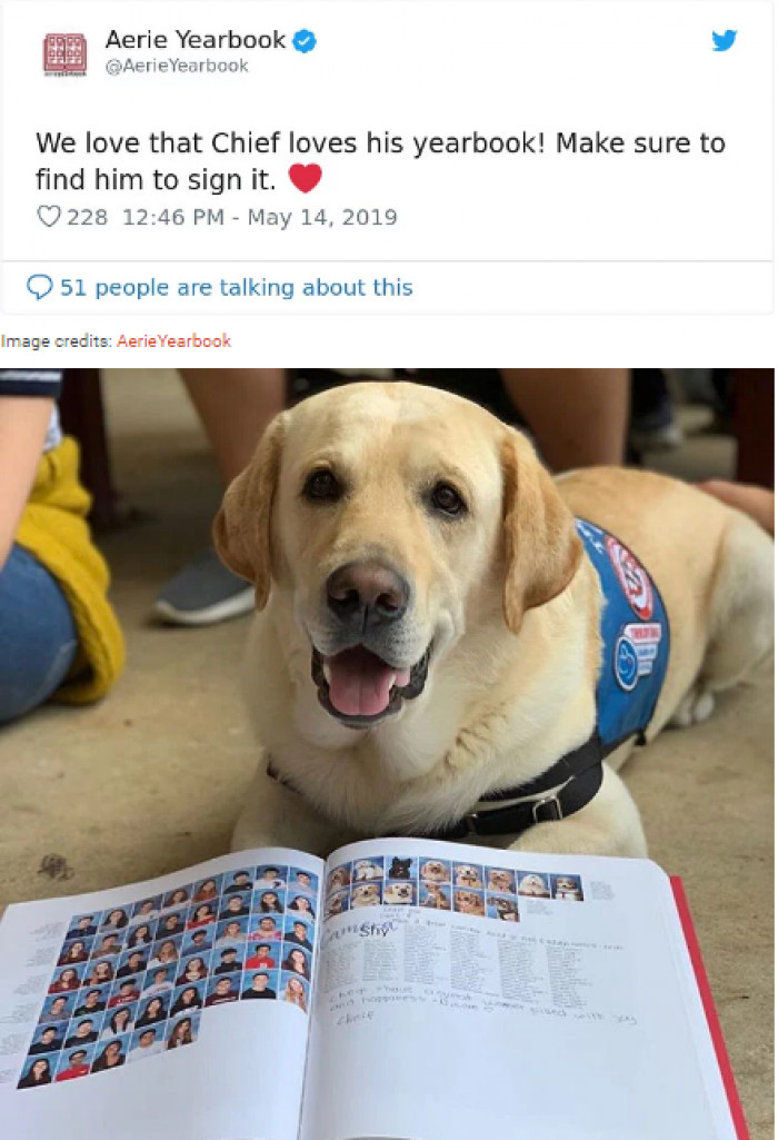 We love Chief too. What a wonderful idea and story.