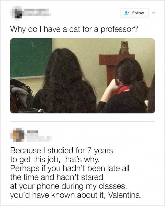 This cat is wiser than any human