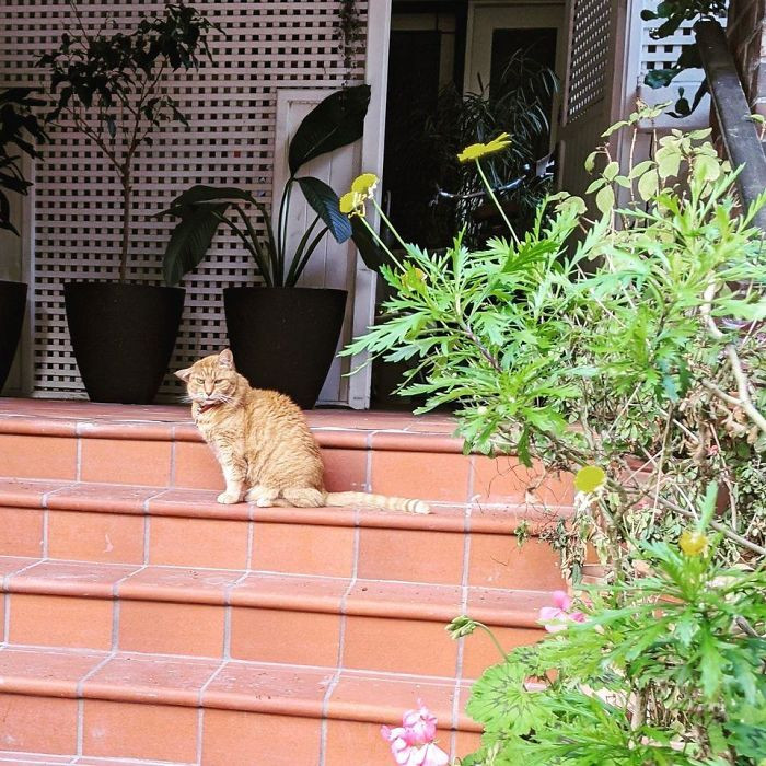 "Floppy-Eared Cutie, Spotted Up The Road From Me"
